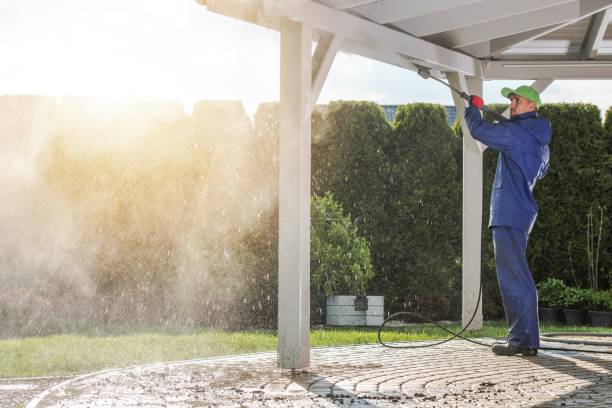 Best Gutter Cleaning  in Horizon West, FL