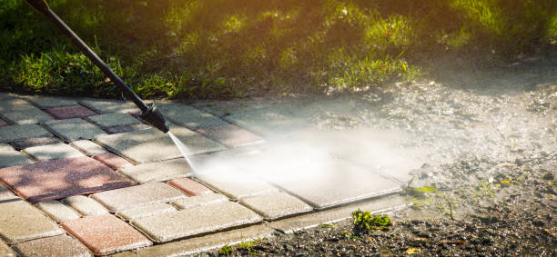 Best Dumpster Area Cleaning  in Horizon West, FL